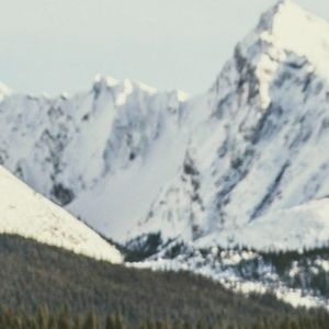 Meet your Posher, Devon